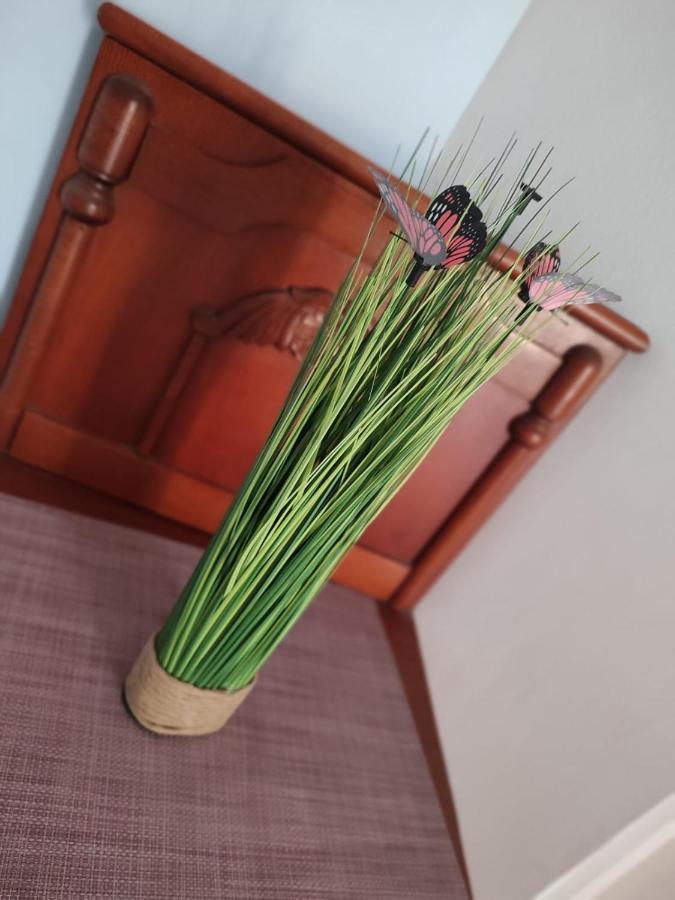 דירות אפורי נורד Casa Victor מראה חיצוני תמונה
